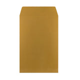 Gouden Kartonnen Envelop 235X162 MM